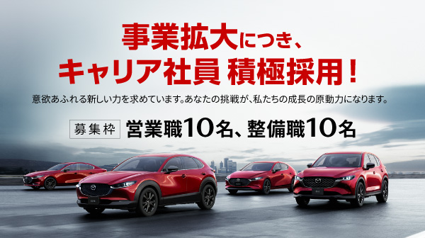 採用情報